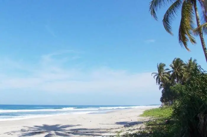 Pantai Tanjung Setia Lampung: Surganya Peselancar