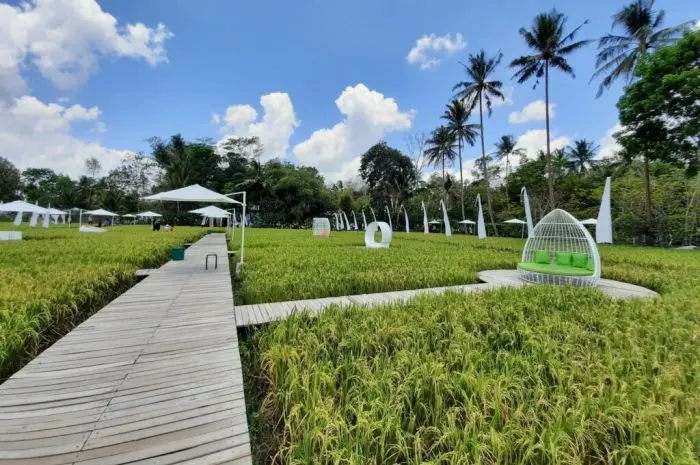 Svarga Bumi, Serpihan Surga yang Terhampar di Borobudur