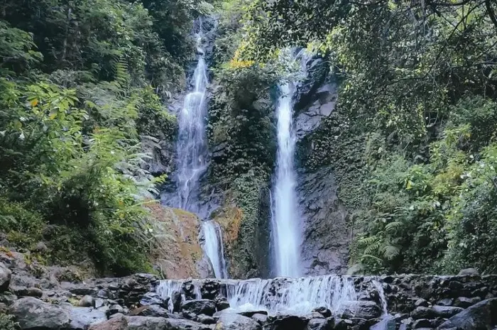 Curug Tersembunyi di Bogor yang Wajib Dikunjungi untuk Petualangan Alam